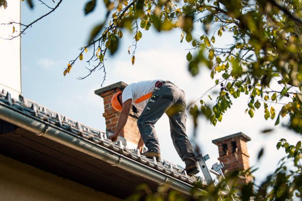Roof Gutter Cleaning in Centerville, CA